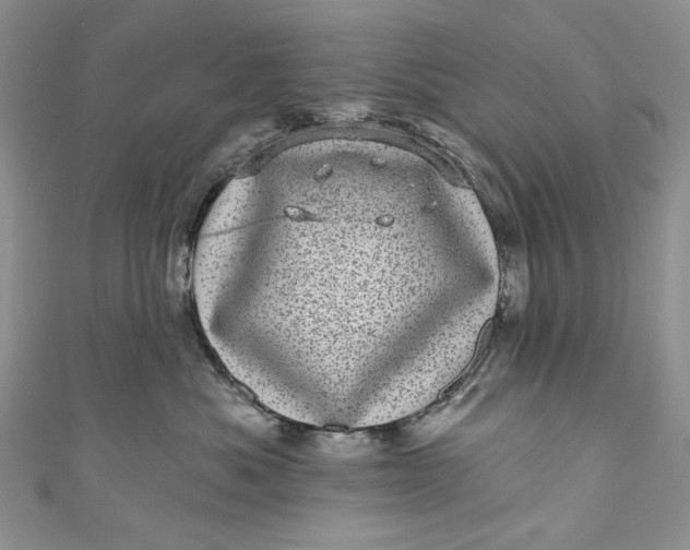 X0000110880525200907021459