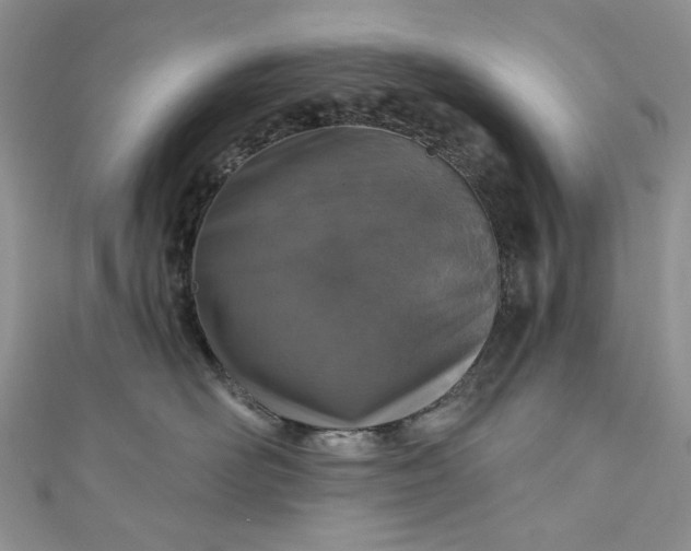 X0000110880526200907021459