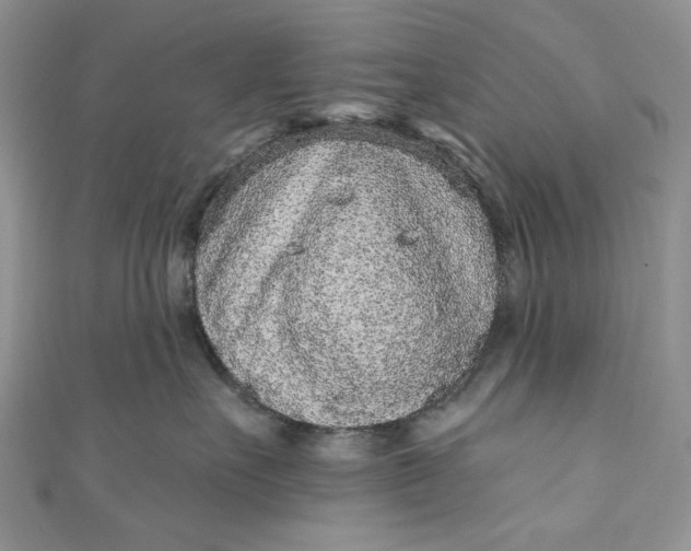 X0000110880527200907021459