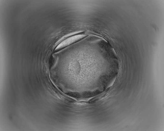 X0000110880528200907021459