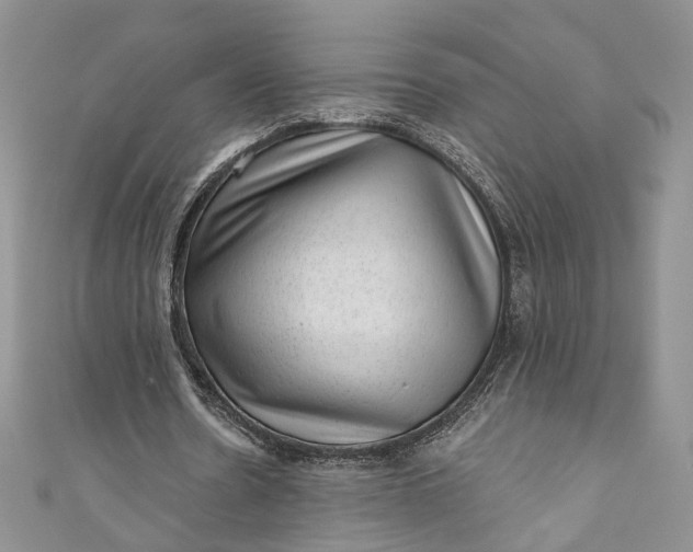 X0000110880530200907021459