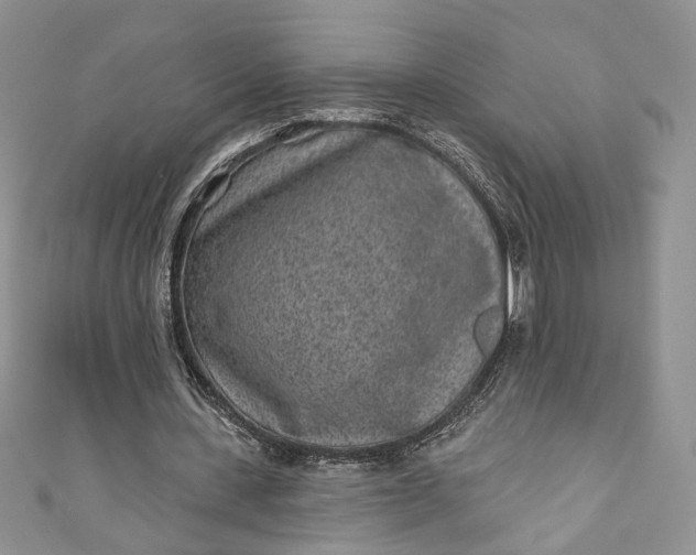 X0000110880531200907021459