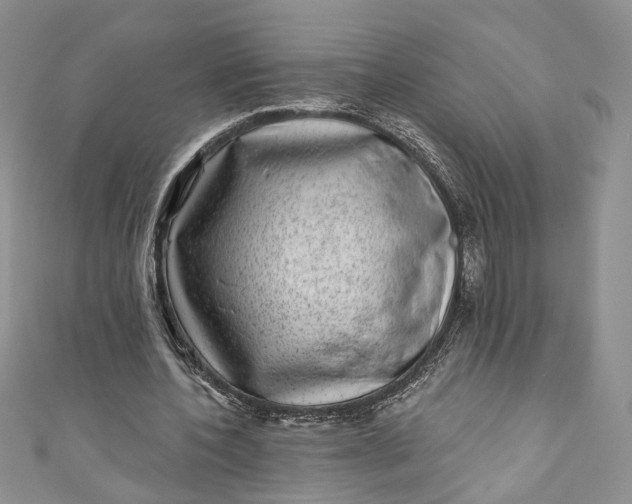 X0000110880532200907021459