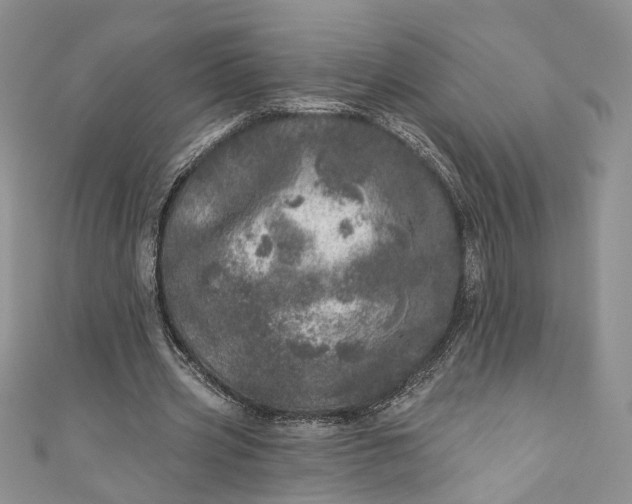 X0000110880533200907021459