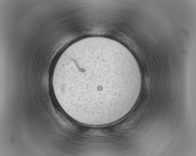 X0000110880534200907021459