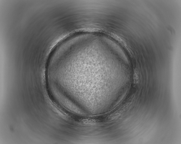 X0000110880535200907021459