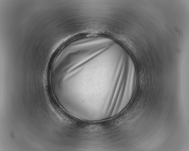 X0000110880536200907021459