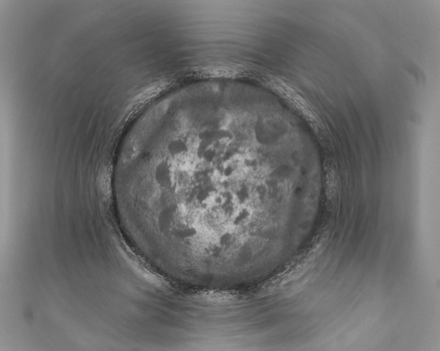 X0000110880537200907021459