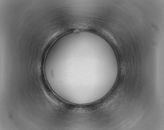 X0000110880538200907021459