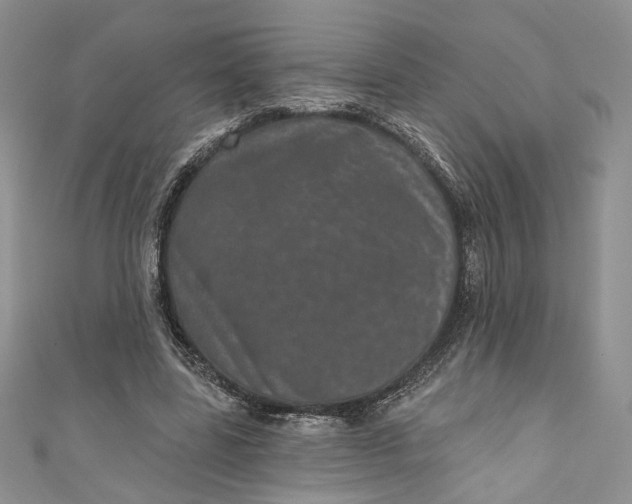X0000110880539200907021459
