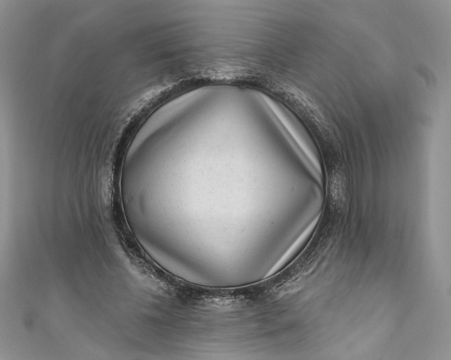 X0000110880540200907021459