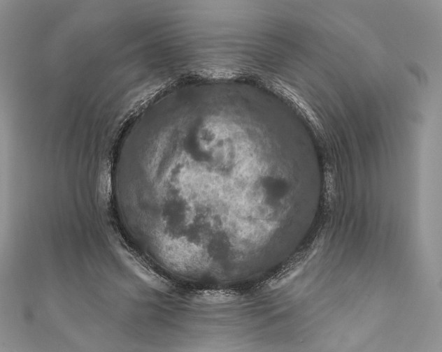 X0000110880541200907021459
