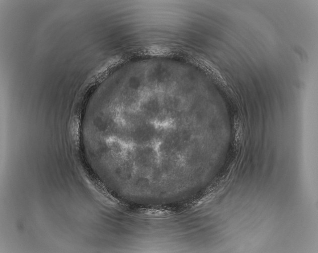 X0000110880542200907021459