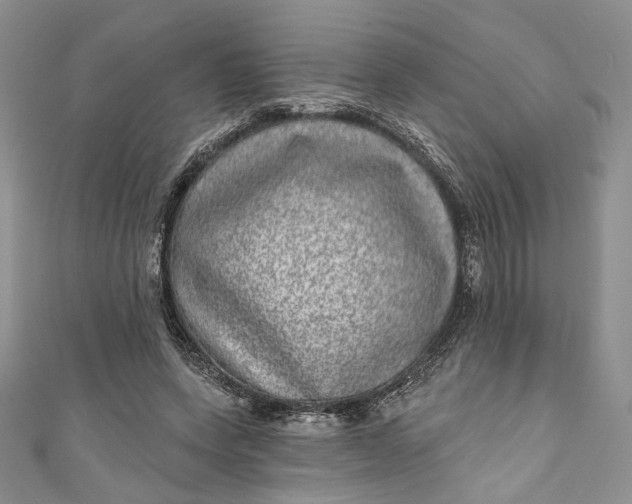 X0000110880543200907021459
