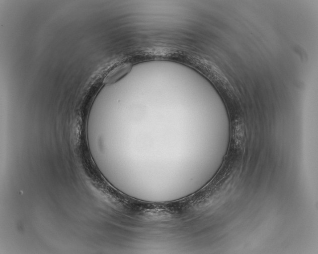 X0000110880544200907021459