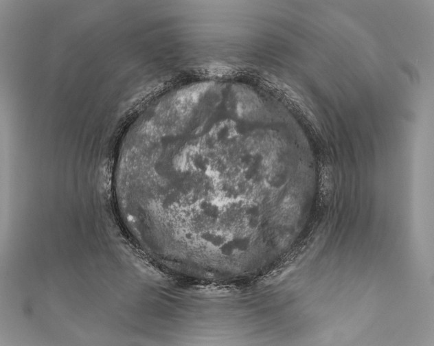 X0000110880545200907021459
