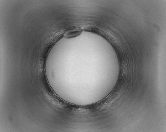 X0000110880546200907021459