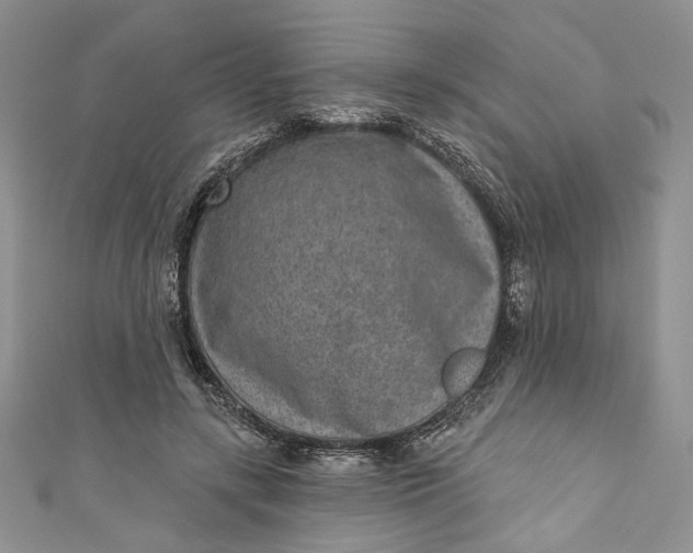 X0000110880547200907021459