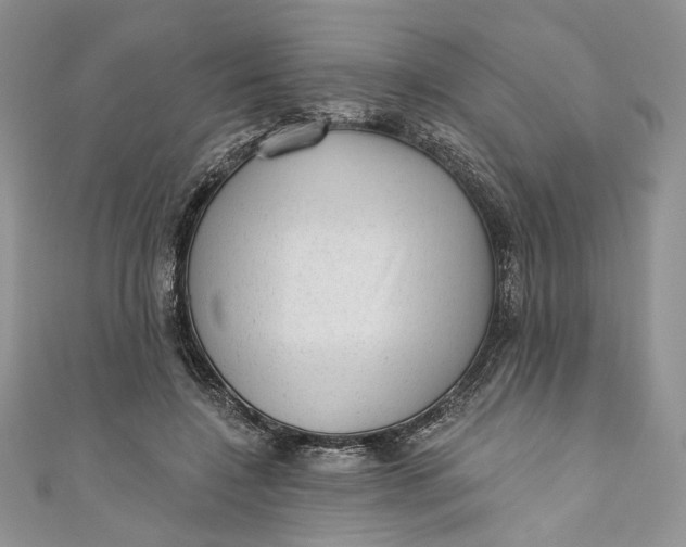 X0000110880548200907021459