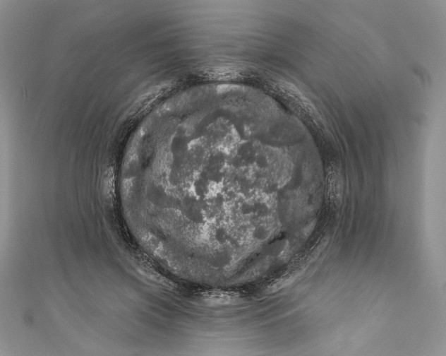 X0000110880549200907021459
