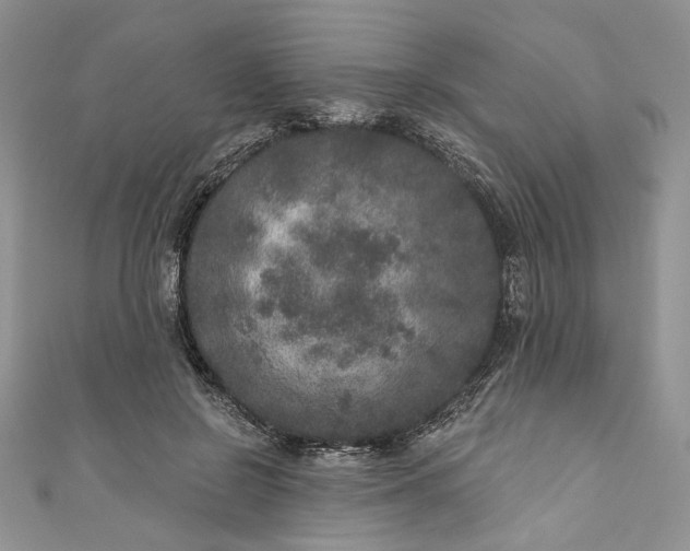 X0000110880550200907021459