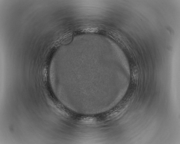 X0000110880551200907021459