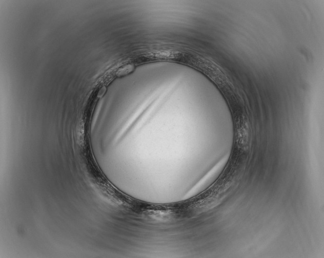 X0000110880552200907021459