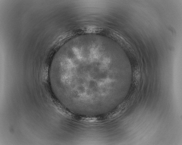 X0000110880554200907021459