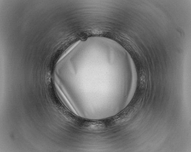 X0000110880555200907021459