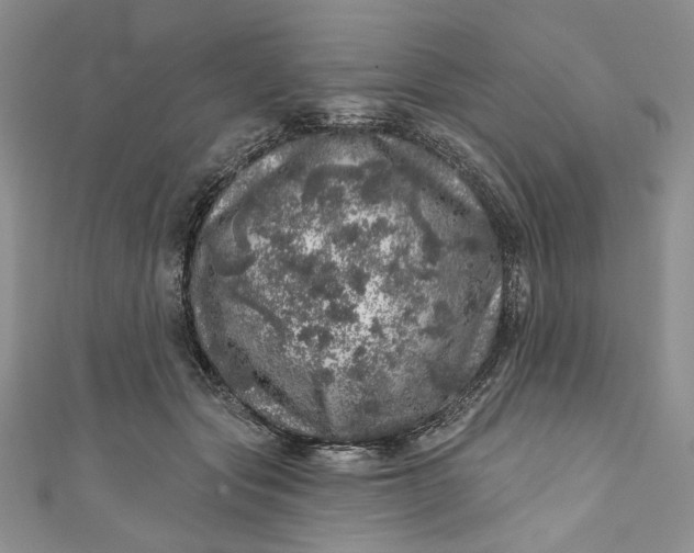 X0000110880557200907021459