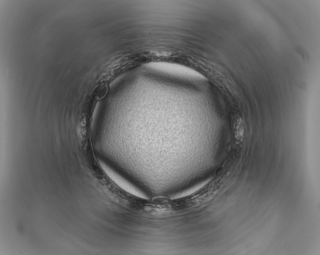 X0000110880559200907021459