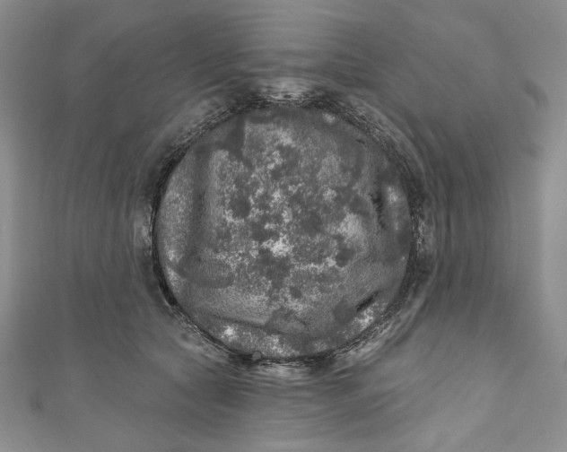X0000110880561200907021459