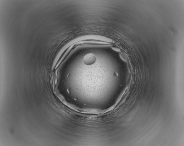 X0000110880562200907021459