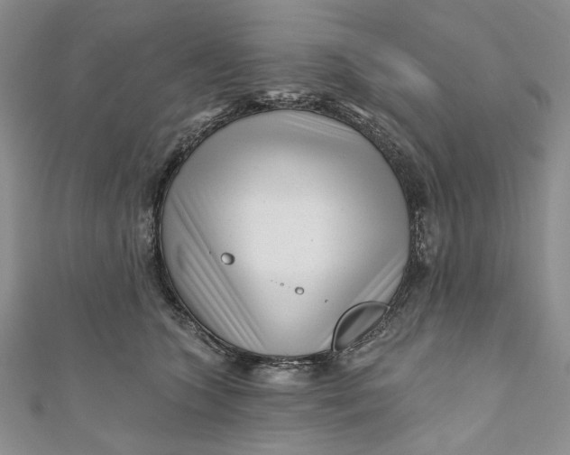 X0000110880563200907021459