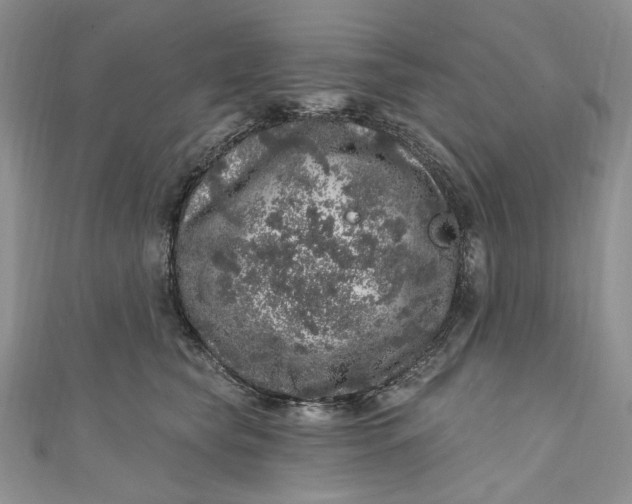 X0000110880565200907021459