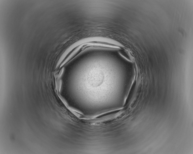 X0000110880566200907021459
