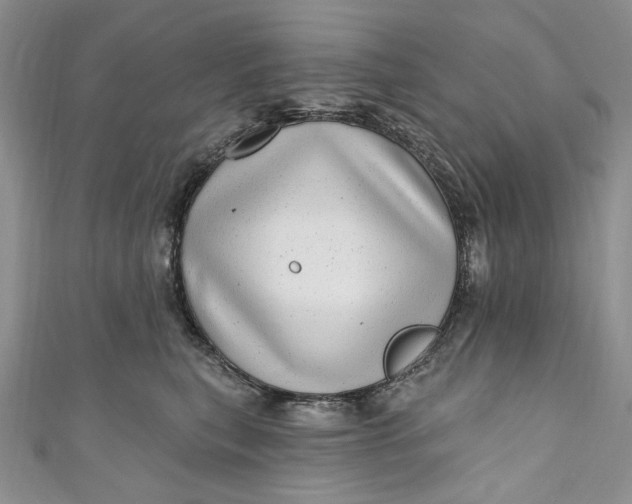 X0000110880567200907021459