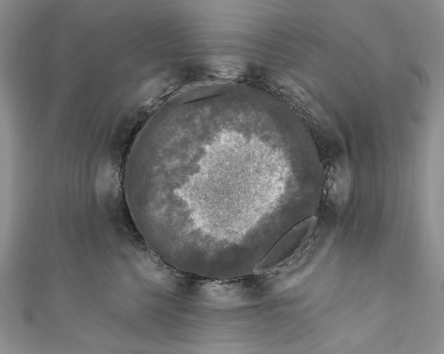 X0000110880568200907021459