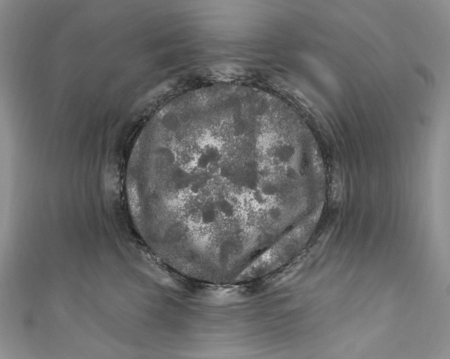 X0000110880569200907021459