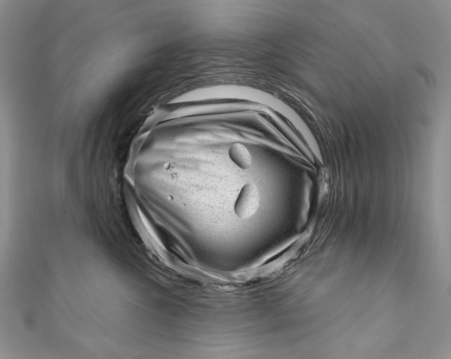 X0000110880572200907021459