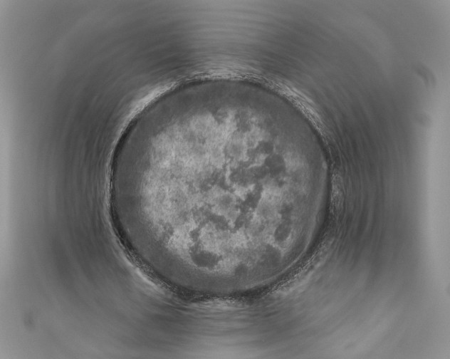 X0000110880578200907021459