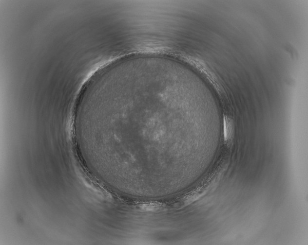 X0000110880579200907021459