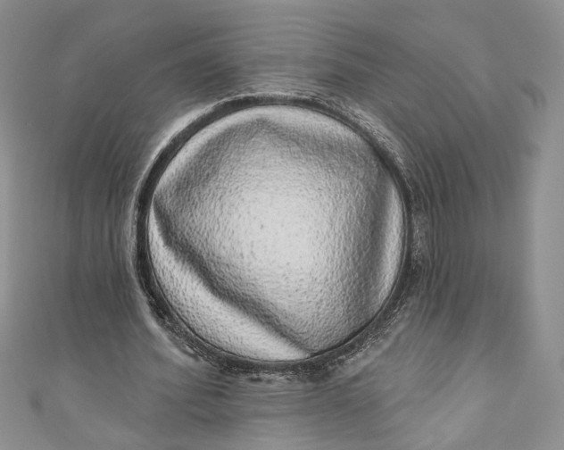X0000110880580200907021459