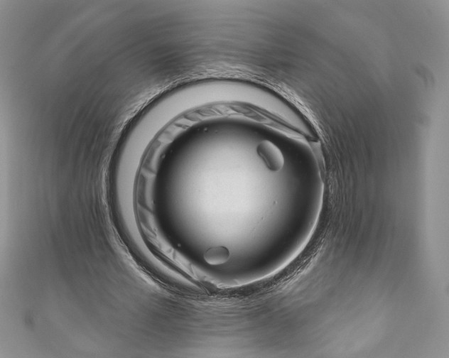 X0000110880581200907021459