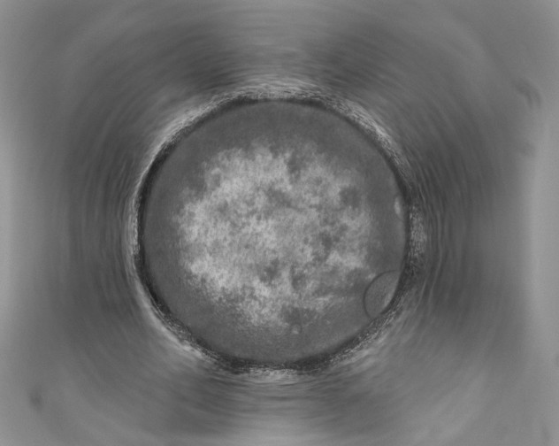 X0000110880582200907021459