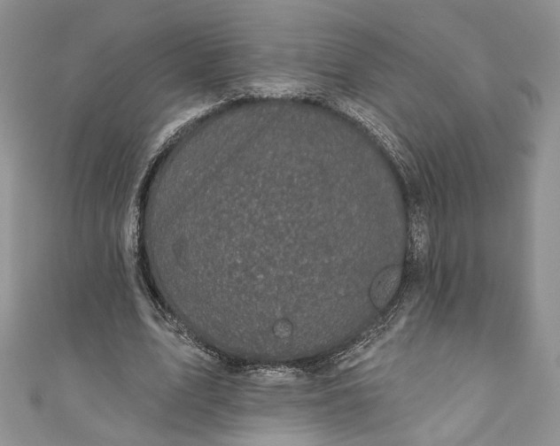 X0000110880583200907021459