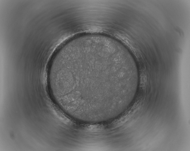 X0000110880584200907021459