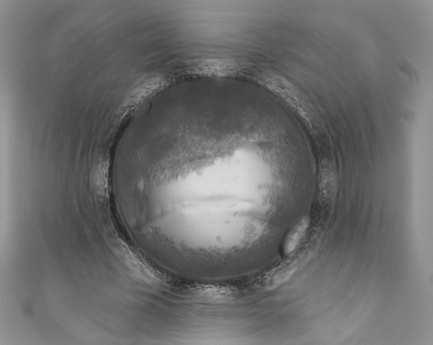 X0000110880585200907021459