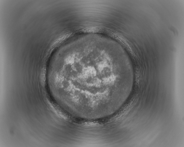 X0000110880586200907021459