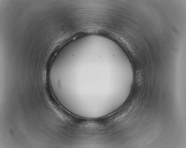 X0000110880589200907021459